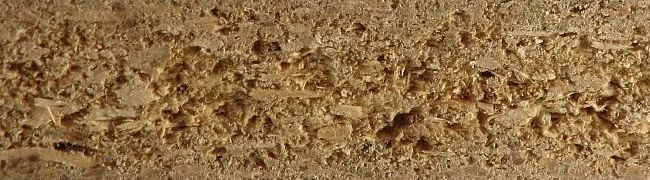 What is particle board