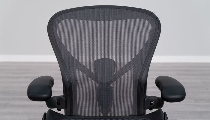 Front view of Aeron's backrest