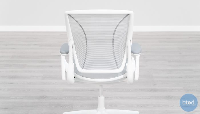 Humanscale Diffrient World Mesh Backrest Back View