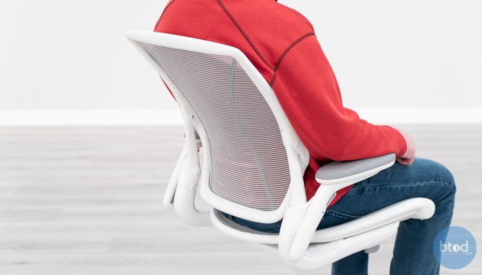 Humanscale Diffrient World Mesh Backrest While Seated