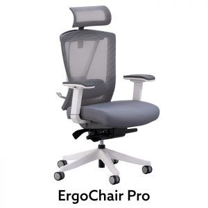ErgoChair Pro Headrest