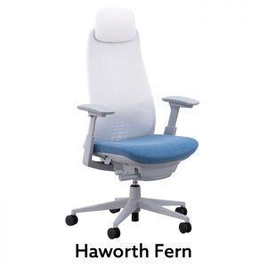 Haworth Fern Chair Headrest