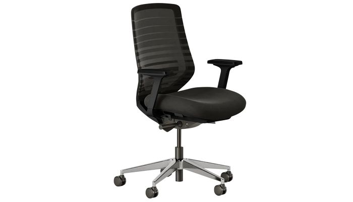 Ergonomic Chair