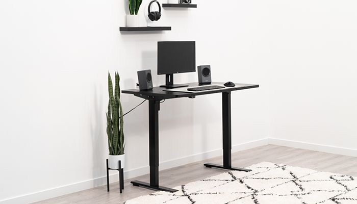 Flexispot EC1 Stand Up Desk