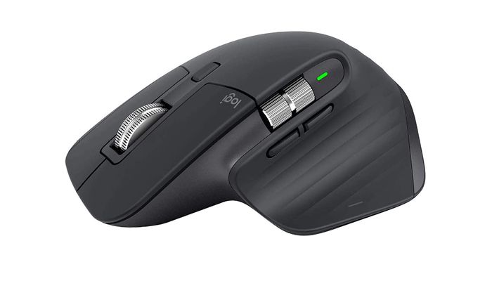 The mouse
