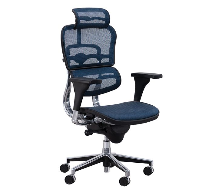 Ergohuman headrest