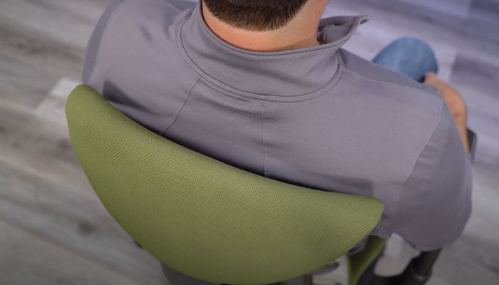 The curved back