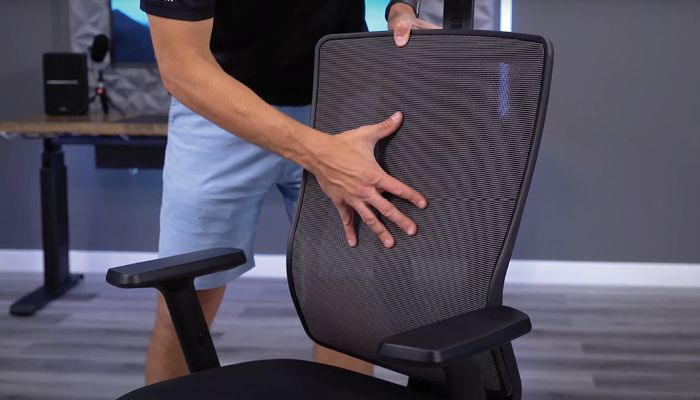 The mesh back