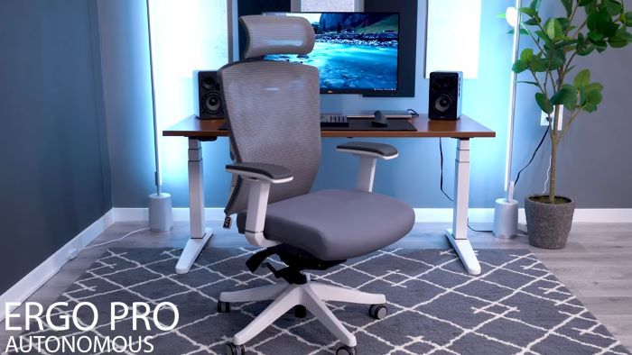 Autonomous Ergo Pro