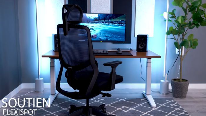 Flexispot Soutien