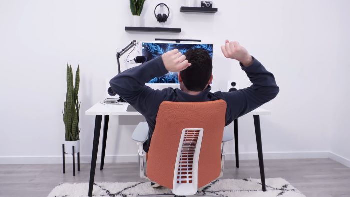 Great flexibility on the Fern
