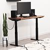 Ergonofis Alive Standing Desk