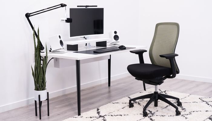 Eurotech Vera - Most Comfortable Mesh Backrest