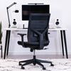 Branch Task Ergonomic Mesh Chair