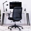 Haworth Assure Mesh Back Chair