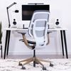 Steelcase Karman All Mesh Office Chair